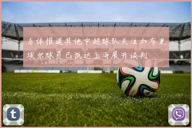 东体报道其他中超球队关注加布里埃尔球员已抵达上海展开谈判