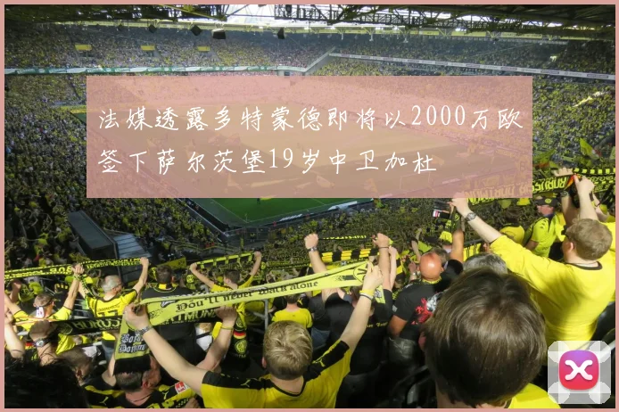 法媒透露多特蒙德即将以2000万欧签下萨尔茨堡19岁中卫加杜